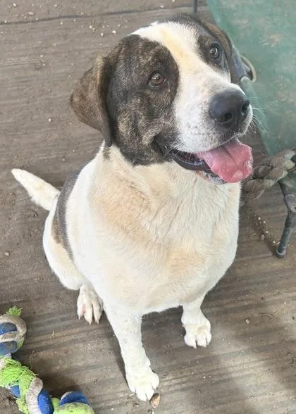 Bodiddley thumbnail 2