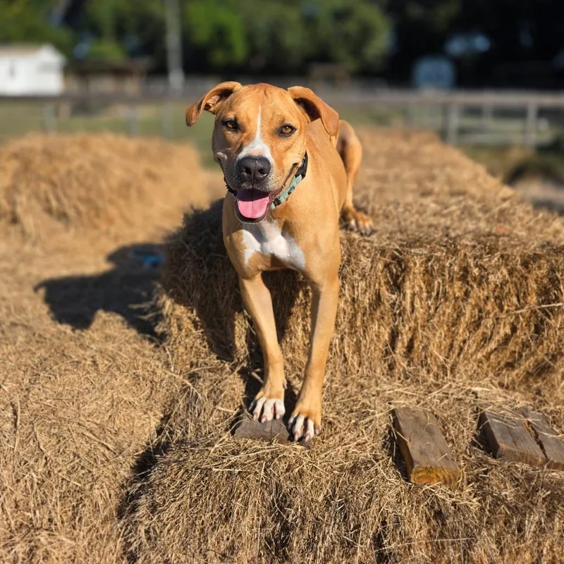 Sara Lee thumbnail 3