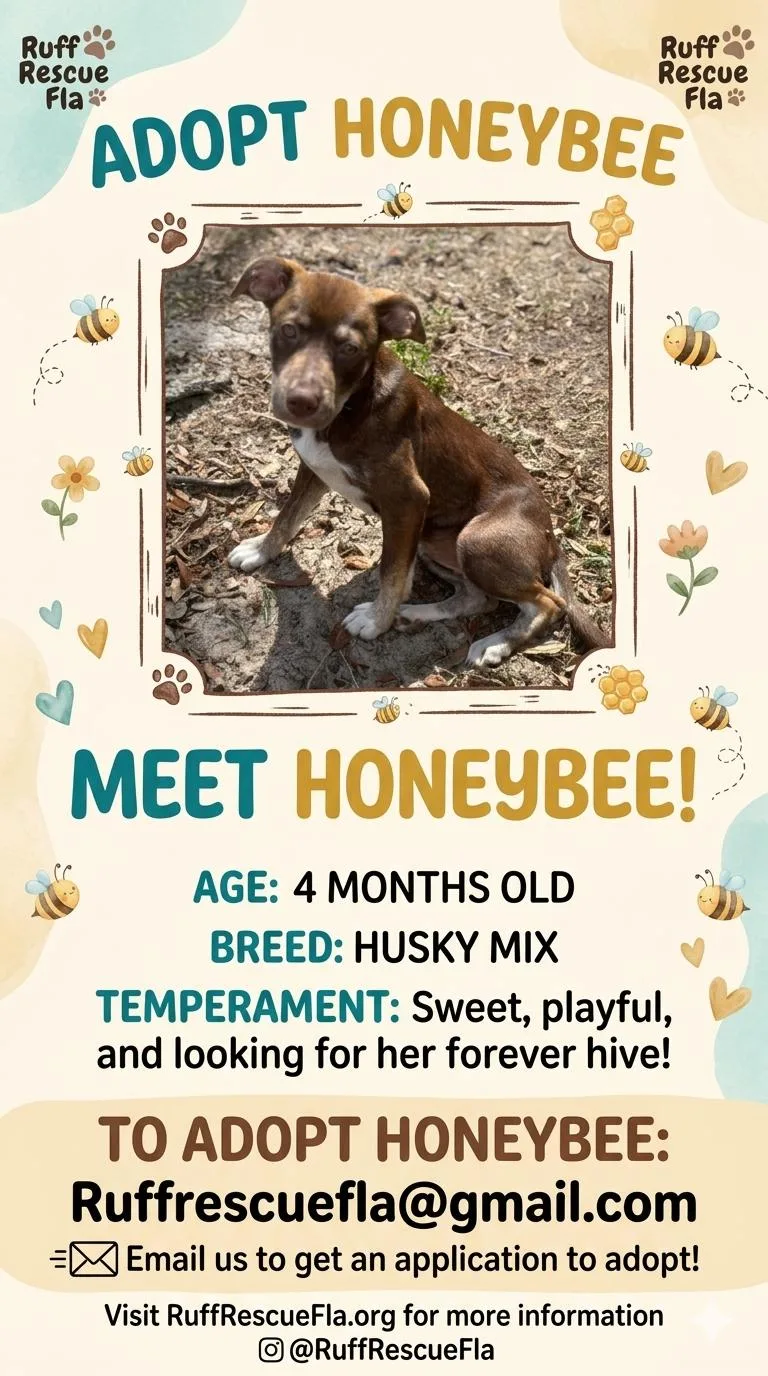 Honeybee thumbnail 2