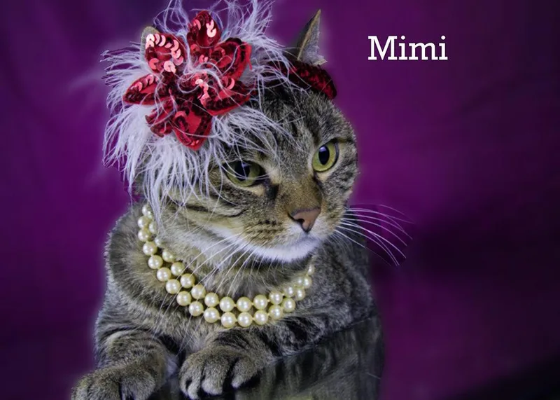 Mimi thumbnail 2