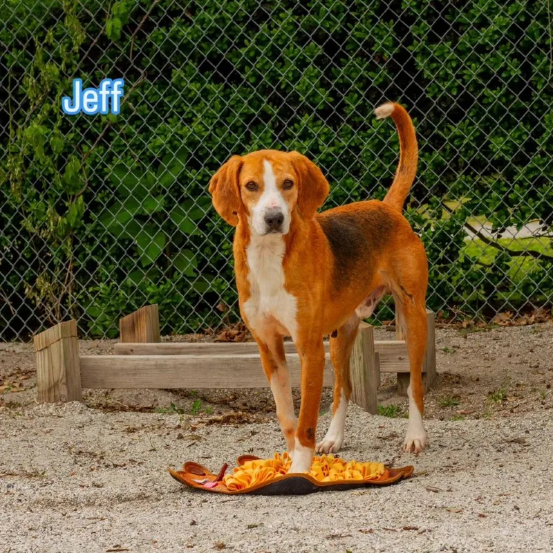 Jeff