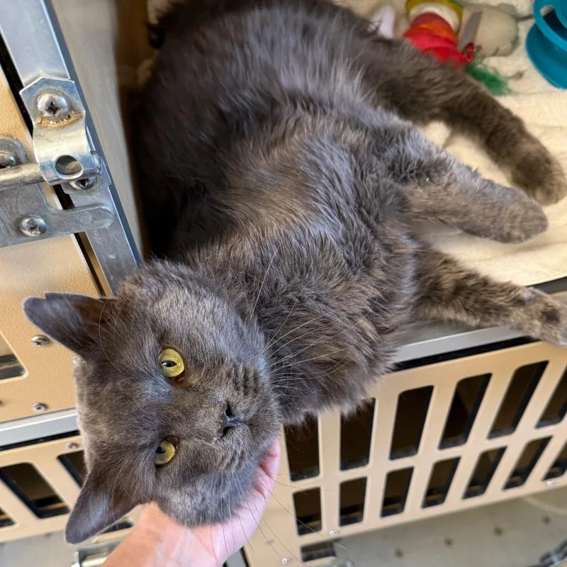 Smokey  Butler campus! thumbnail 3