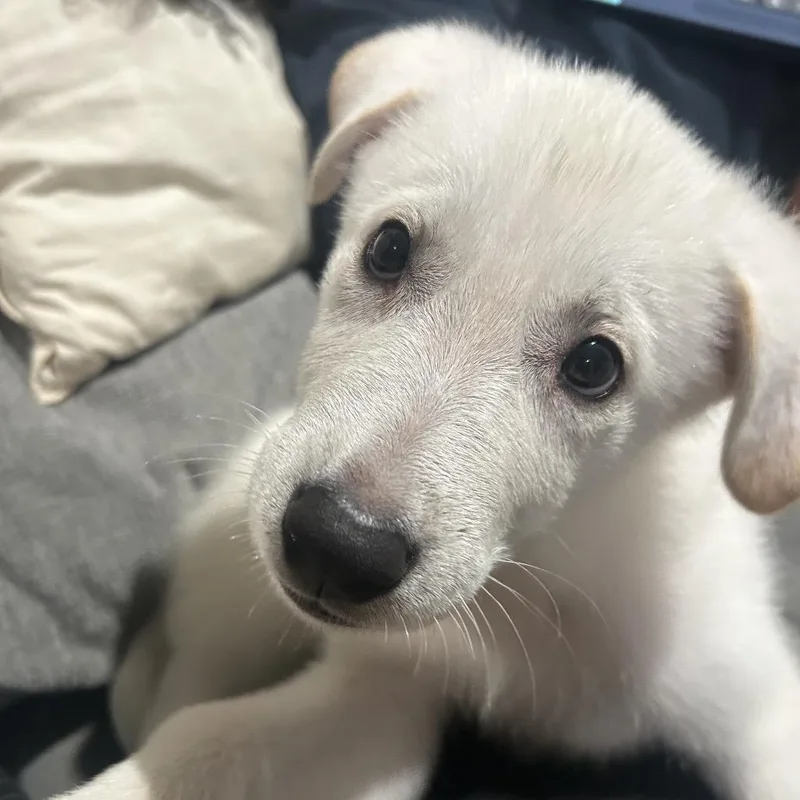 Jamarcus thumbnail 2