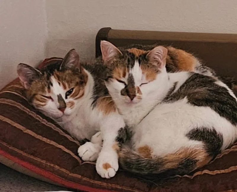 Angel & Stormy