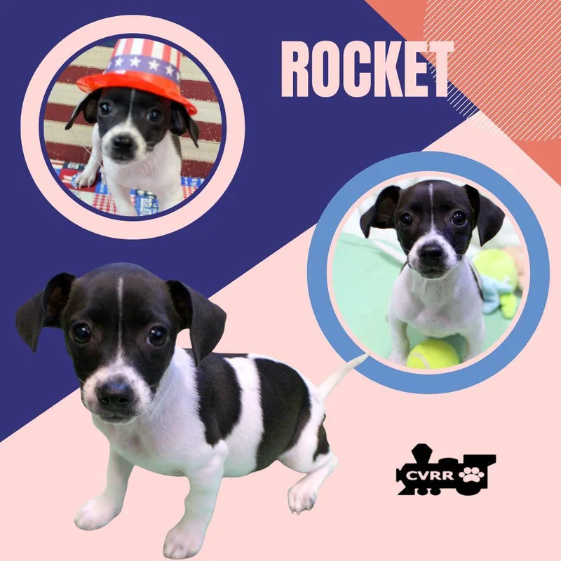 Rocket