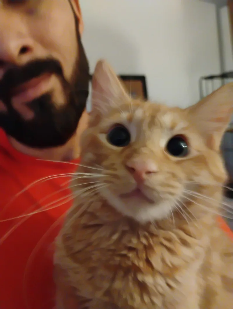Newman thumbnail 2