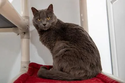 Stormiee thumbnail 2