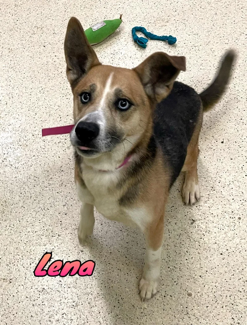 Lena