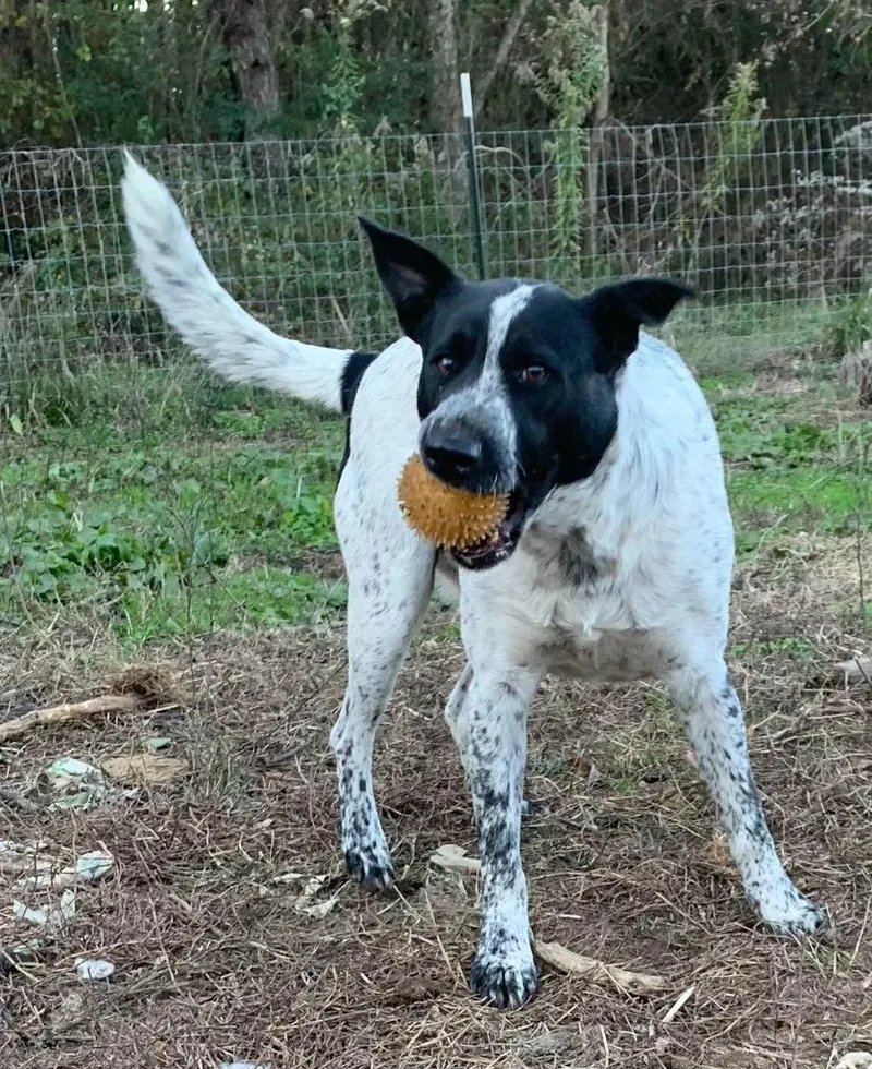 Jefferson thumbnail 2