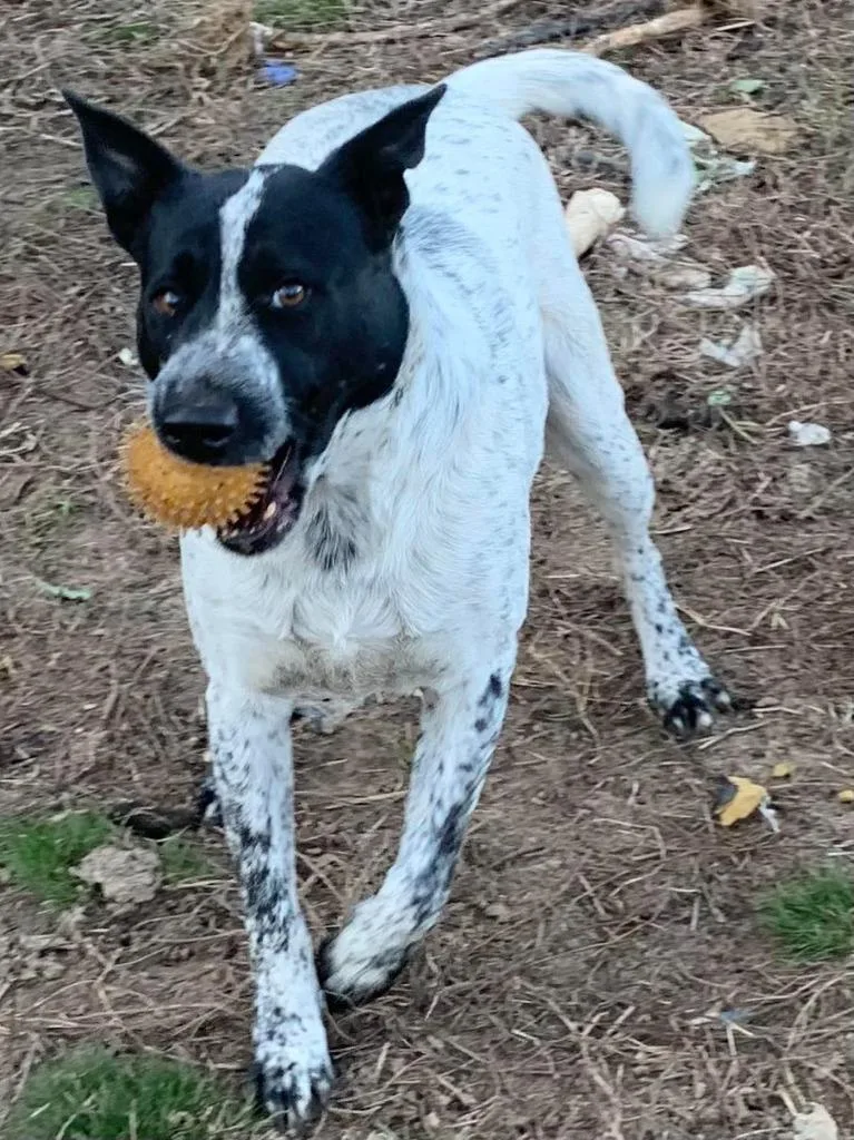 Jefferson thumbnail 3