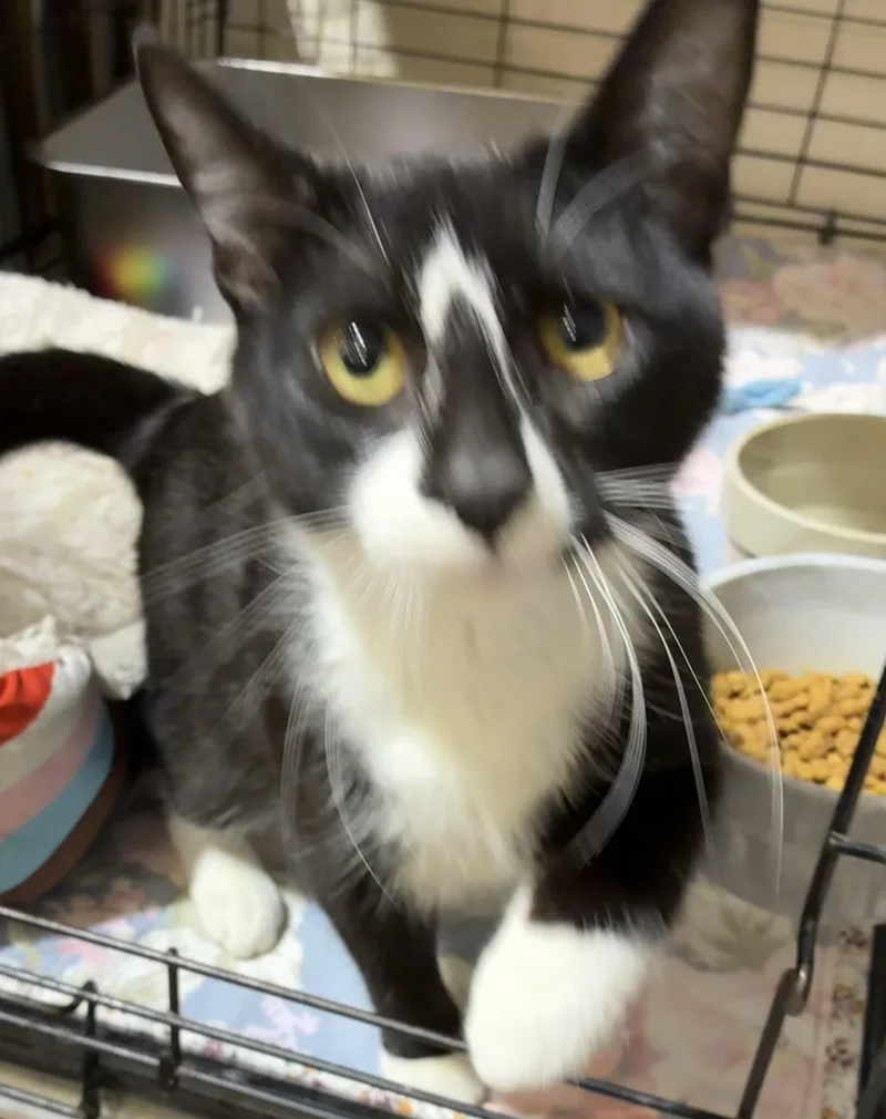 Montogmery thumbnail 3