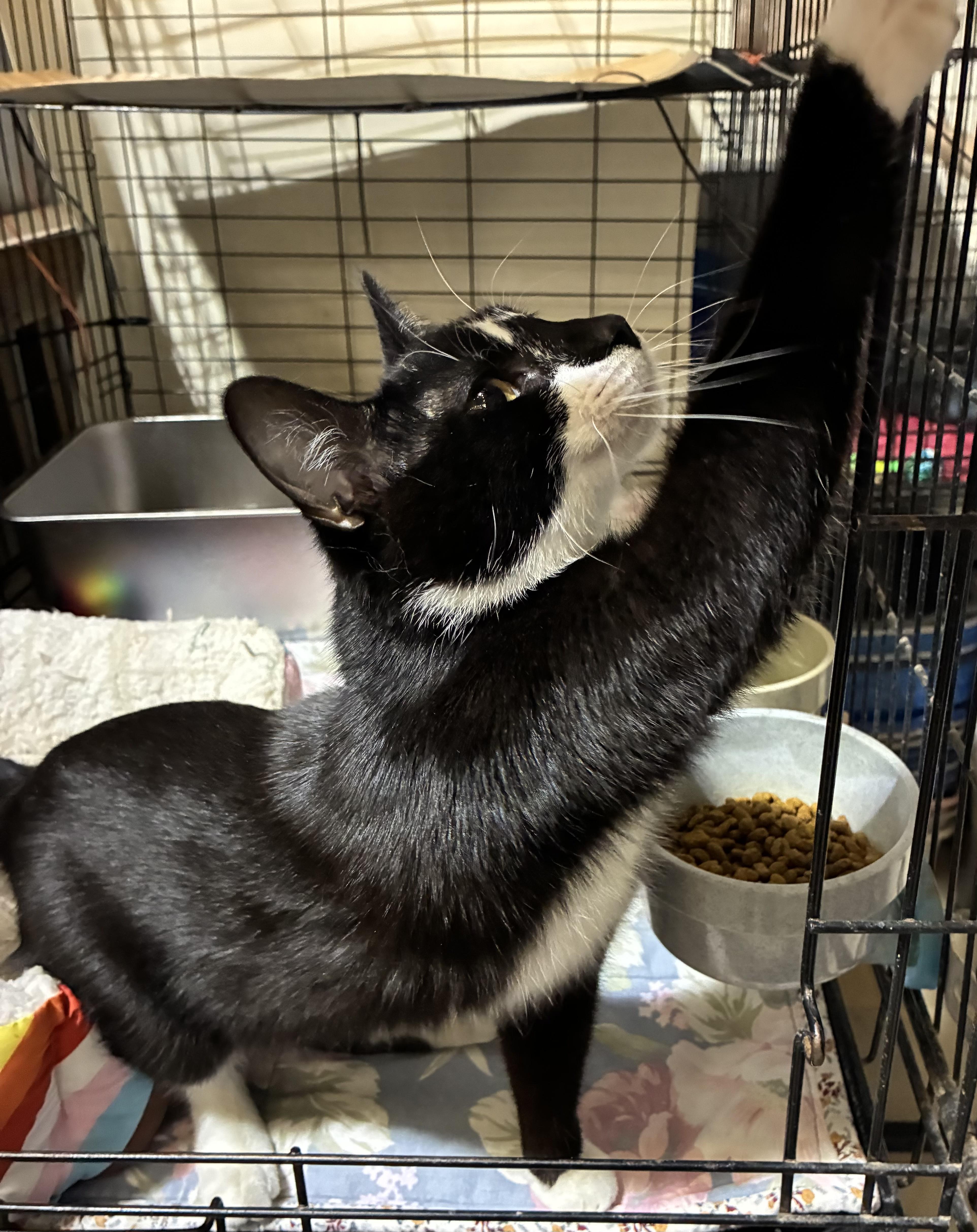 Montogmery thumbnail 6