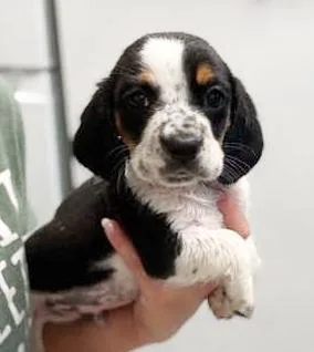 Theo Is The Sweetest thumbnail 3