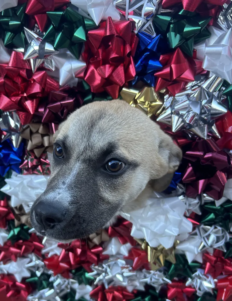 Wanda Sue thumbnail 2