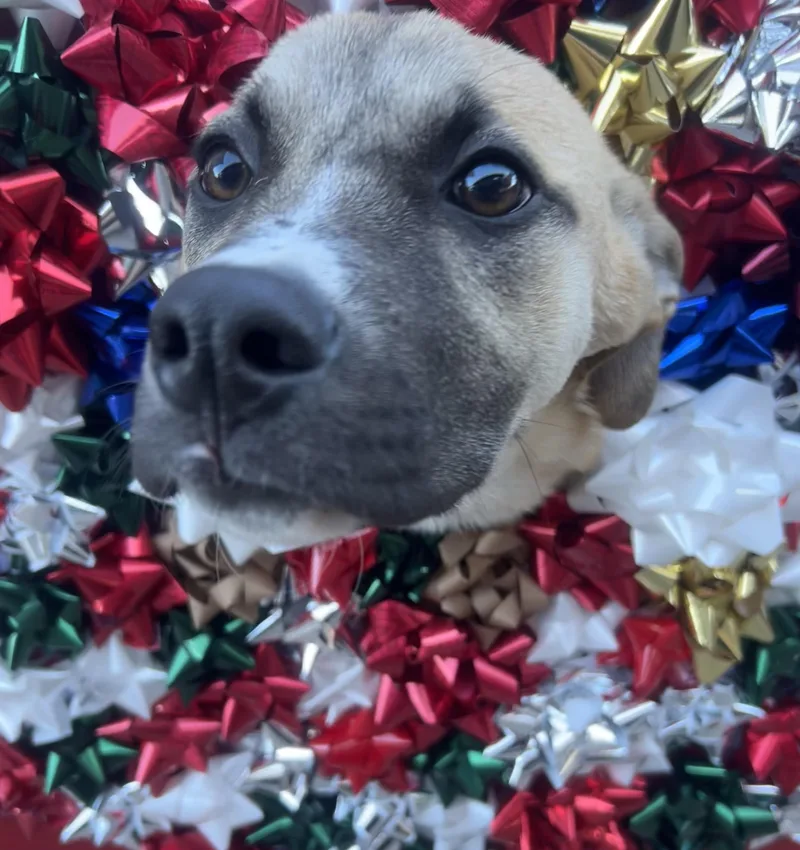 Wanda Sue thumbnail 3