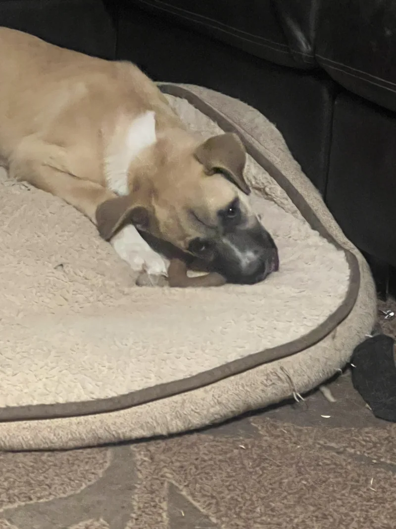 Wanda Sue thumbnail 4