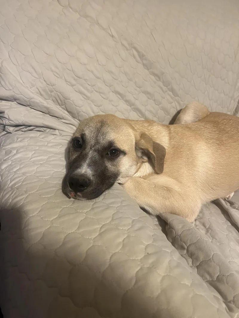 Wanda Sue thumbnail 5