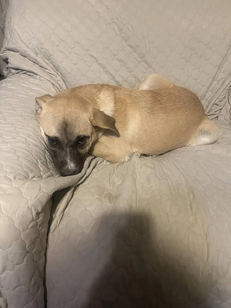 Wanda Sue thumbnail 6