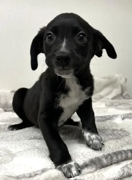 Nancy Gribble thumbnail 2