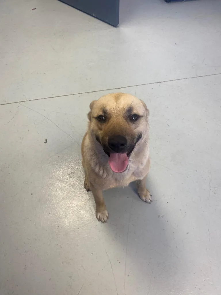 Sebastian thumbnail 2