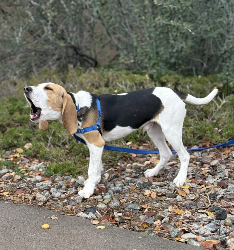 Ernie thumbnail 2
