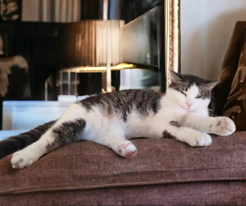 Tinkerbell thumbnail 2