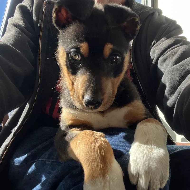 Deandradee Dee thumbnail 2