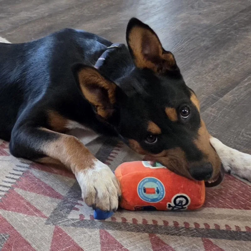 Deandradee Dee thumbnail 4