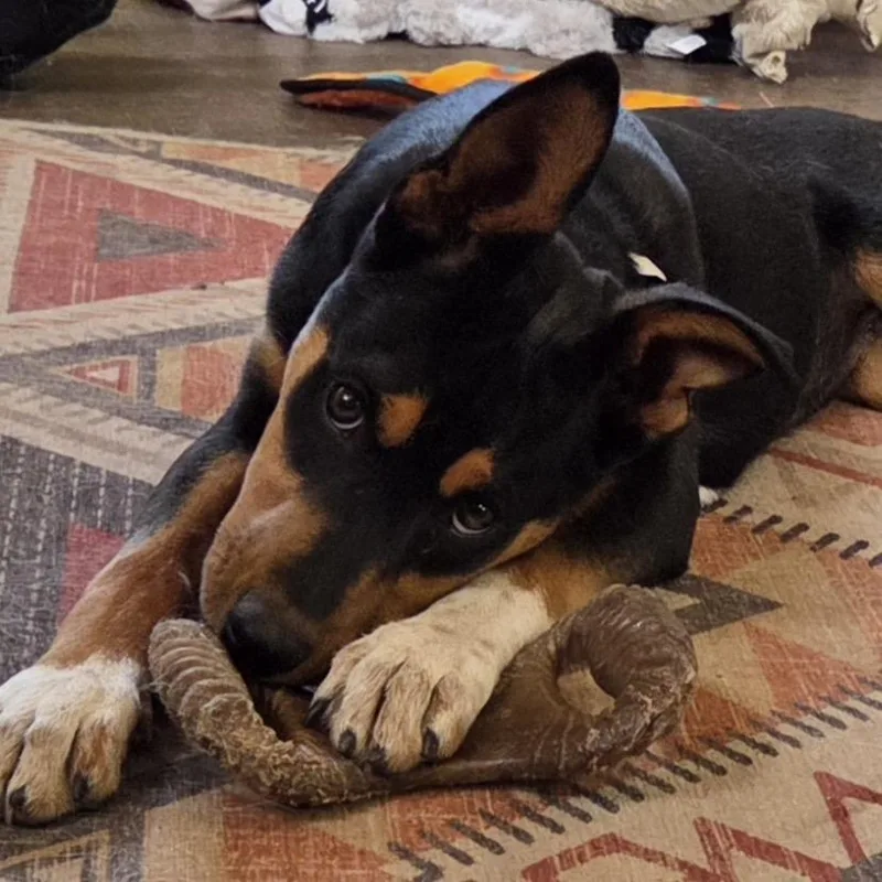 Deandradee Dee thumbnail 5