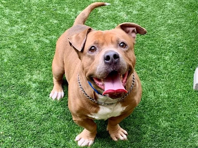 Urgent! Save Me Please!