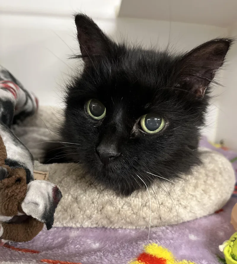 Myra Mains thumbnail 2