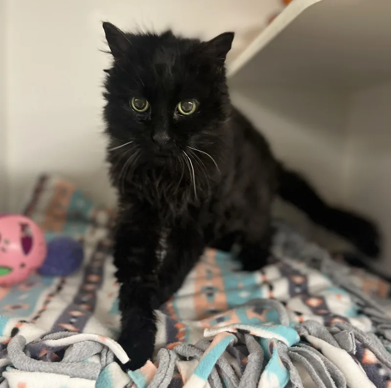 Myra Mains thumbnail 4