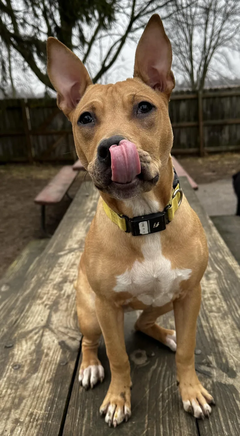 Pennsylvania thumbnail 2