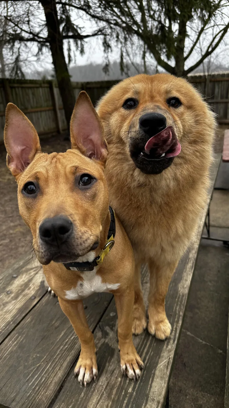 Pennsylvania thumbnail 3