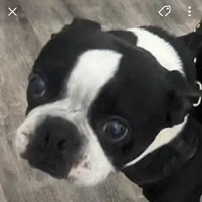 Tucker
