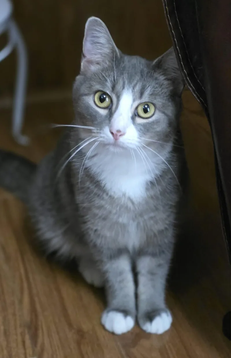 Izzy thumbnail 2