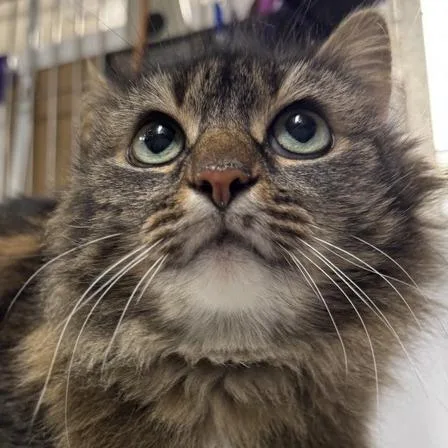Precious