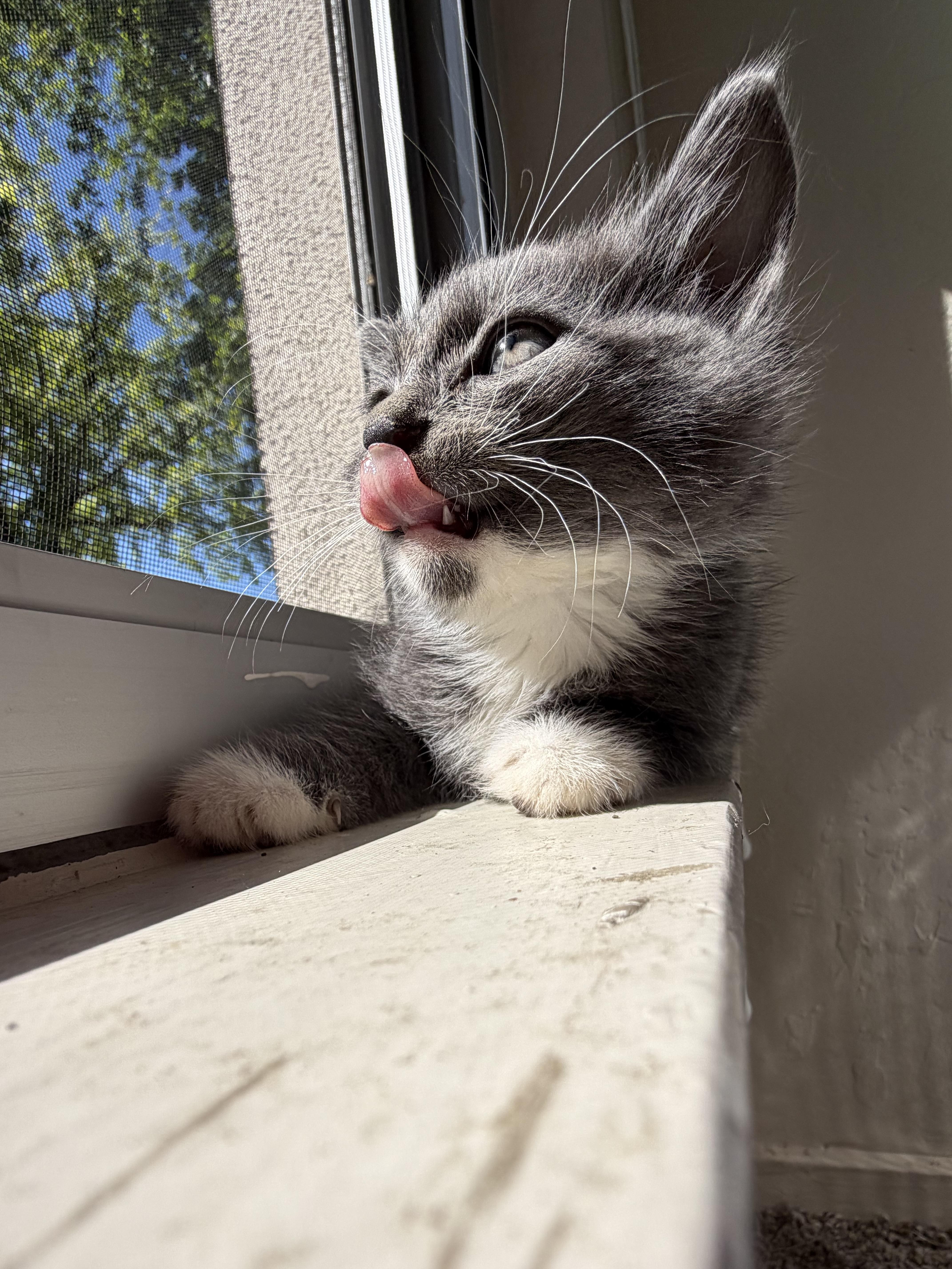 Meanie !