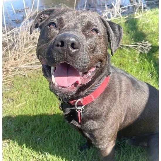 Midnight thumbnail 2