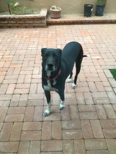 Bailey