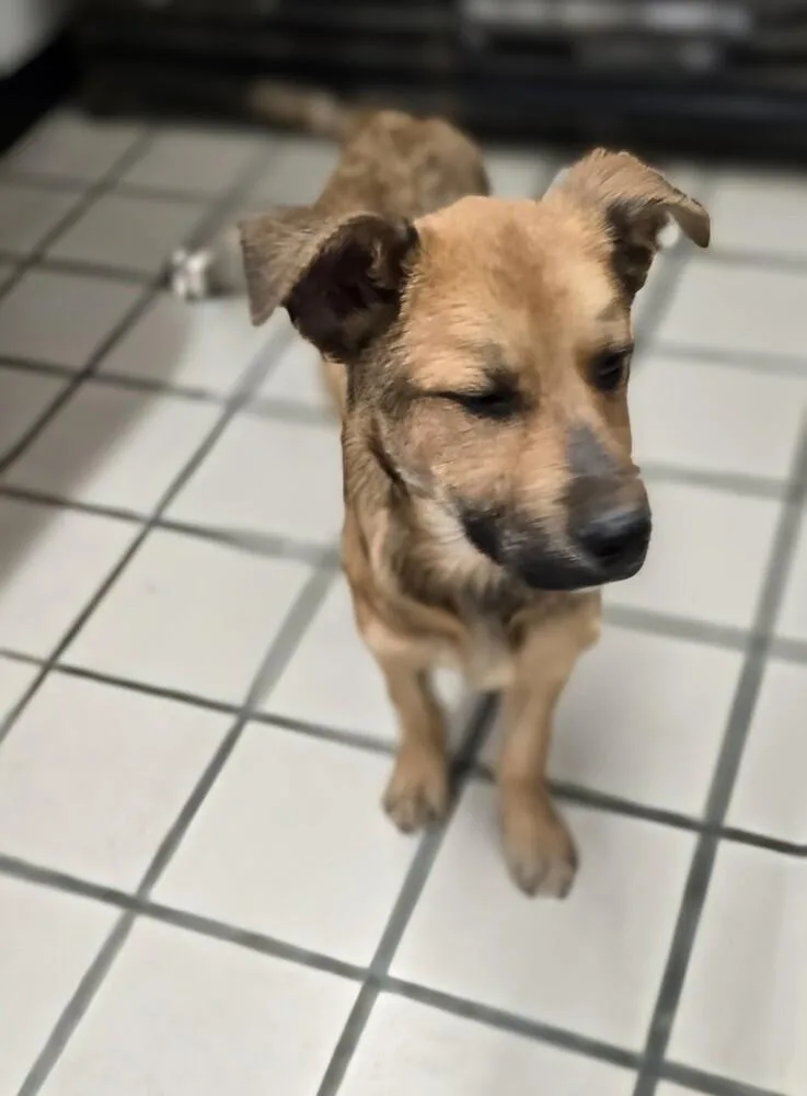 Lightening thumbnail 3