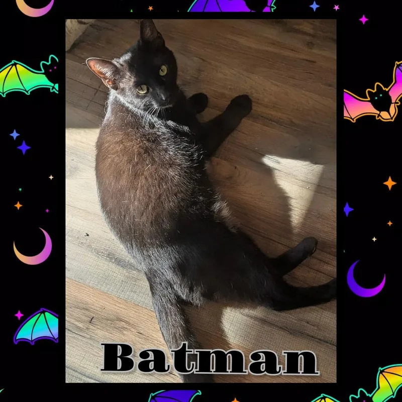 Batman