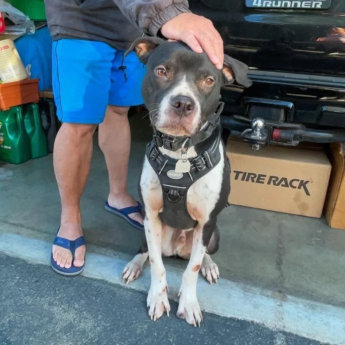 Coco & Julia thumbnail 2