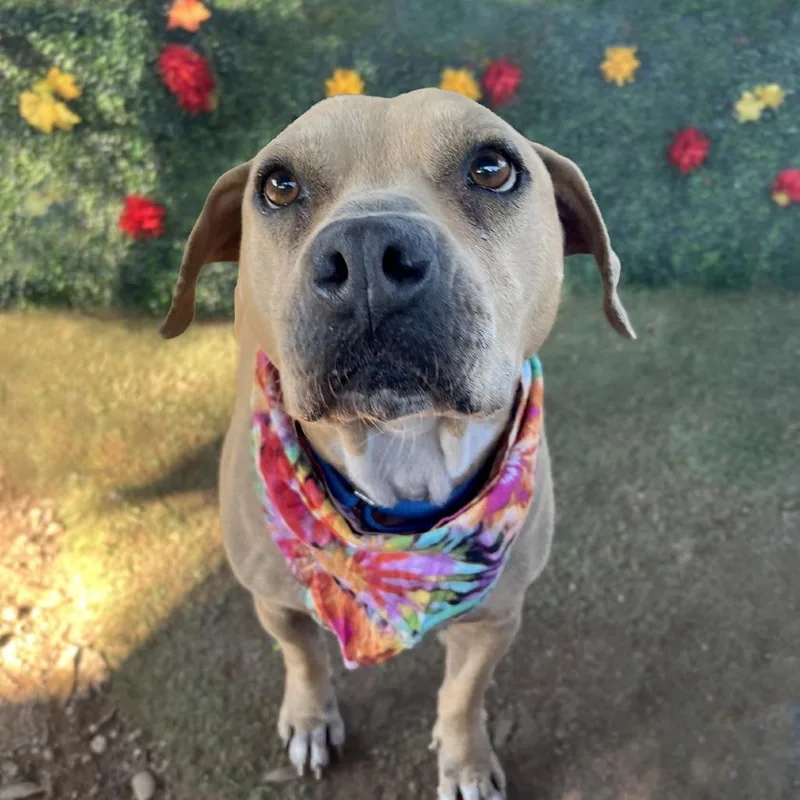 Zooey Deschanel thumbnail 2