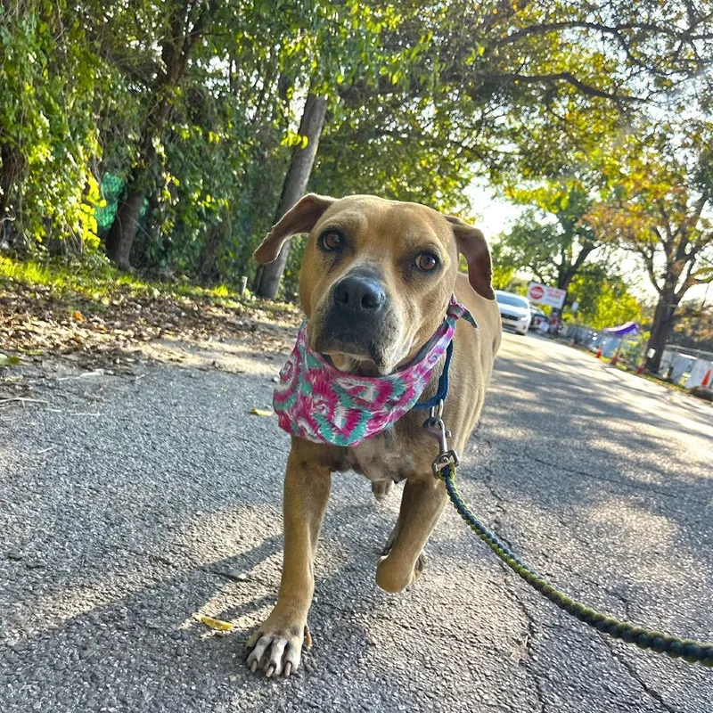 Zooey Deschanel thumbnail 4