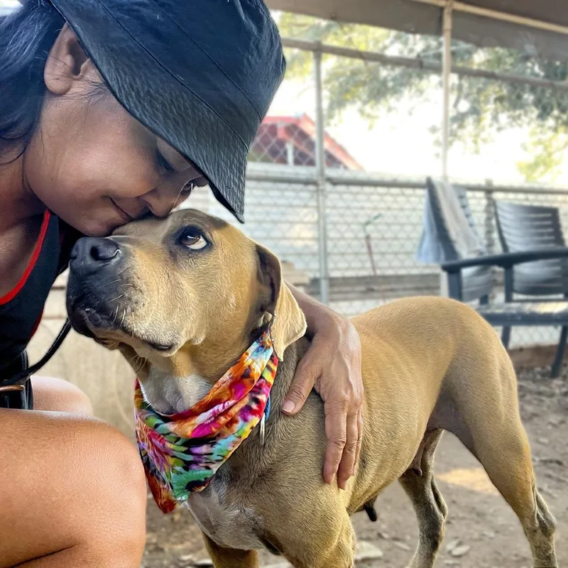 Zooey Deschanel thumbnail 5