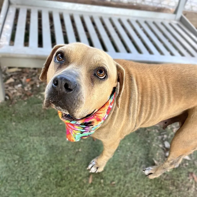 Zooey Deschanel thumbnail 6