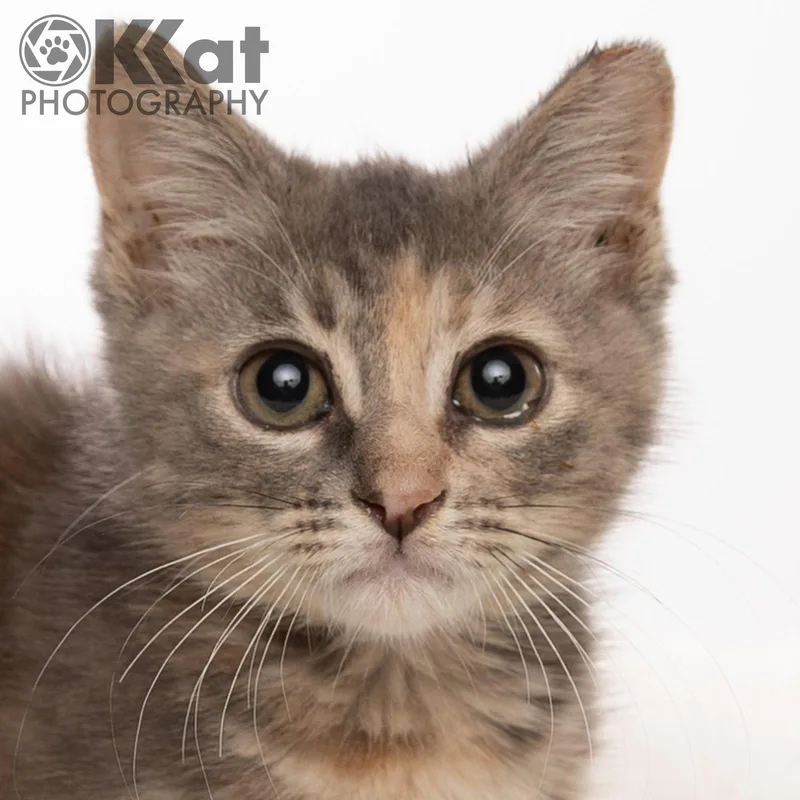 Wilma thumbnail 2