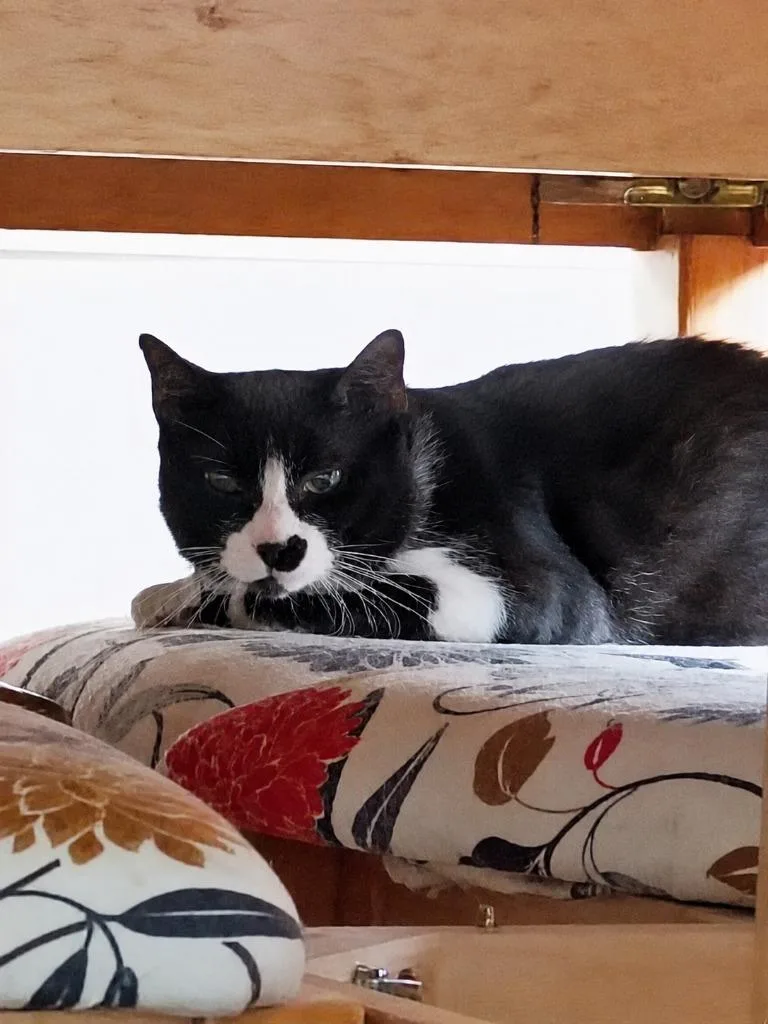 Tux