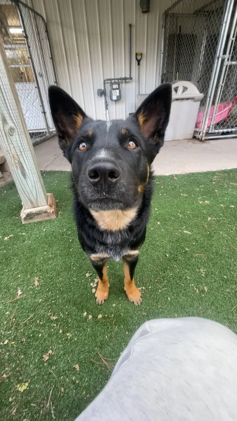 Max